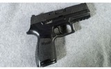 SIG Arms ~ P320 ~ 45 ACP - 1 of 5