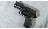 SIG Arms ~ P320 ~ 45 ACP - 2 of 5