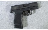 Sig Sauer ~ P365 ~ 9 mm ~ Holster - 1 of 8