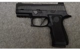 Sig Sauer~P320~9mm - 2 of 2