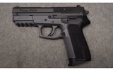 Sig Sauer~SP2022~9mm - 2 of 2