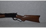Winchester Model 1886 .45-70 Goverment - 4 of 11