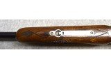 Shadow ~ 12 Gauge - 7 of 13