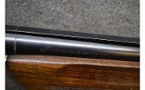 Shadow ~ 12 Gauge - 12 of 13