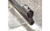 CZ ~ 550 ~ .243 Winchester - 5 of 6