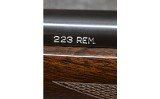 Remington ~ 700 ~ .223 Remington - 3 of 6