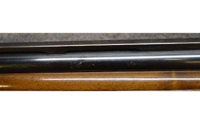 Lanber ~ 12 Gauge - Image 5 of 14
