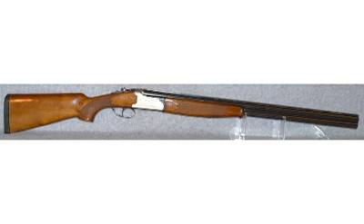 Lanber ~ 12 Gauge - Image 14 of 14