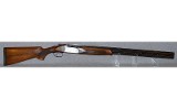 Sporting ~ 12 Gauge - 8 of 8