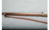 Springfield 1884 Rifle - .45-70 Cal. - 6 of 9
