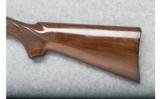 Remington 572 Fieldmaster - .22 Cal. - 7 of 9