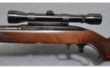 Winchester Model 88 .243 - 4 of 8