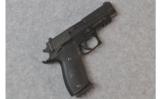 Sig Sauer P220 ~.45 ACP With .22 Conversion - 1 of 2