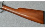 Winchester ~ Model 1906 ~ .22 LR - 9 of 9