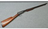 Winchester ~ Model 1906 ~ .22 LR - 1 of 9