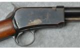 Winchester ~ Model 1906 ~ .22 LR - 3 of 9