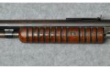 Winchester ~ Model 1906 ~ .22 LR - 7 of 9
