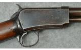 Winchester ~ Model 1906 ~ .22 S, L, LR - 3 of 9