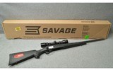 Savage ~ 11 ~ .243 Win. - 11 of 11