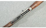 Pointer ~ Phenoma ~ .410 Ga. - 5 of 10