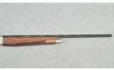 Pointer ~ Phenoma ~ .410 Ga. - 4 of 10