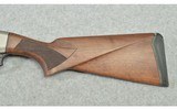 Pointer ~ Phenoma ~ .410 Ga. - 9 of 10