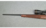 Winchester ~ Model 70 Featherweight ~ .22-250 Rem. - 7 of 10