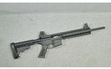 Smith & Wesson ~ M&P 15-22 ~ .22 LR - 1 of 10