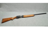 Charles Daly ~ Auto-Pointer ~ 12 Gauge - 1 of 11