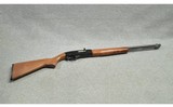 Winchester ~ 190 ~ .22 LR - 1 of 11