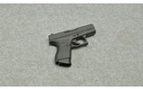 Glock ~ 42 ~ .380 ACP - 1 of 3