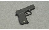 Diamondback ~ DB380 ~ .380 ACP - 1 of 3
