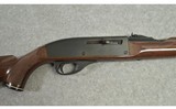 Remington ~ Nylon 66 ~ .22 LR - 3 of 11