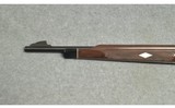 Remington ~ Nylon 66 ~ .22 LR - 6 of 11