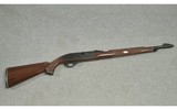 Remington ~ Nylon 66 ~ .22 LR - 1 of 11