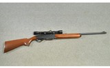 Remington ~ 740 Woodsmaster ~ .30-06