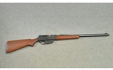 Remington ~ 81 Woodsmaster ~ .300 Savage