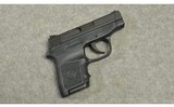 Smith & Wesson ~ M&P Bodyguard ~ .380 Auto