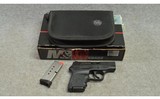 Smith & Wesson ~ M&P Bodyguard ~ .380 Auto - 3 of 3