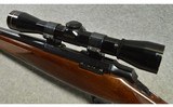 Browning ~ A-Bolt ~ .22 MAG - 10 of 10