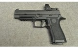 Sig Sauer ~ P320 X-Full Size RXP ~ 9mm - 2 of 3