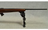 CZ ~ 455 ~ .22 LR - 4 of 7