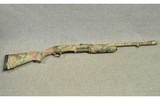 Ithaca ~ 37 ~ 12 Gauge