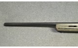 CZ ~ 550 Varmint ~ .22-250 - 6 of 11