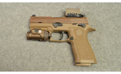 Sig Sauer ~ P320 Combo ~ 9mm