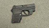 Smith & Wesson ~ Bodyguard ~ .380 Auto