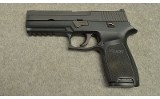 Sig Sauer ~ P250 ~ .45 Auto - 2 of 3