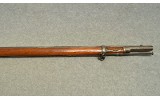Springfield ~ 1884 ~ .45-70 Govt - 4 of 9