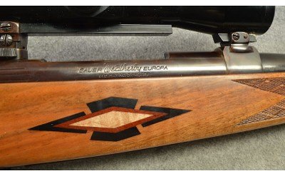 Sauer ~ Weatherby Europa ~ .378 Weatherby Magnum - Image 8 of 8