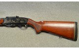 Remington ~ 742 Woodsmaster ~ .308 Win - 7 of 7